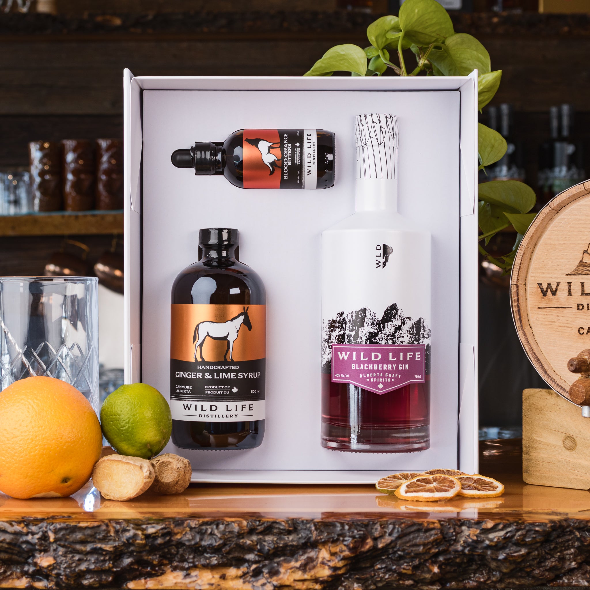 Blackberry Gin Mule Gift Box - NEW!