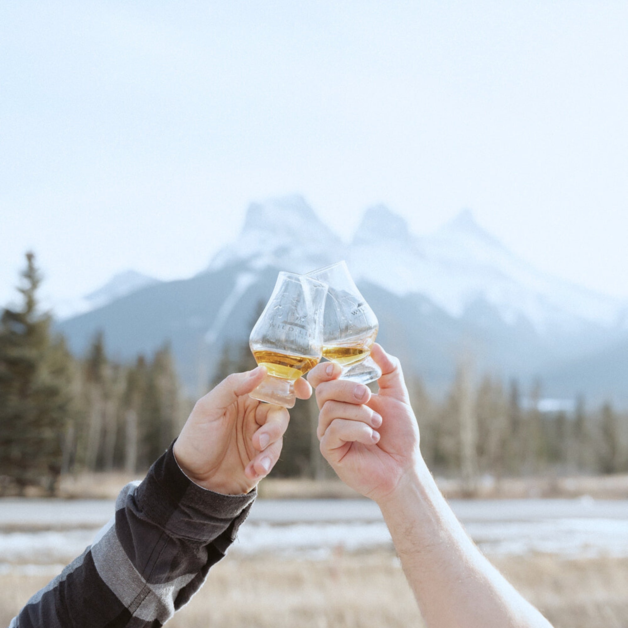 Wild Life Single Malt Whisky, Canmore, Alberta, Canada