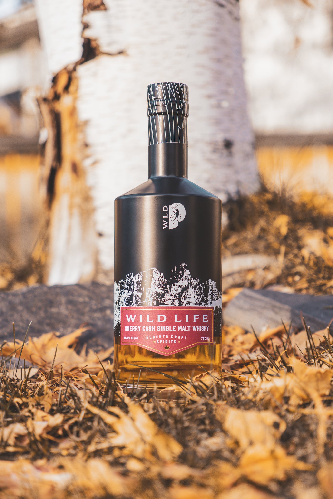 Wild Life Distillery Sherry Cask Single Malt Whisky Craft Spirits Local Canmore